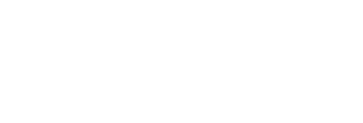 Home Action Fence
