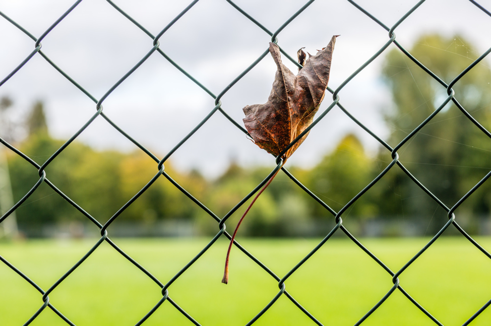 chain-link-fence