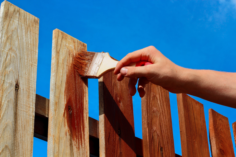 staining-wood-fence