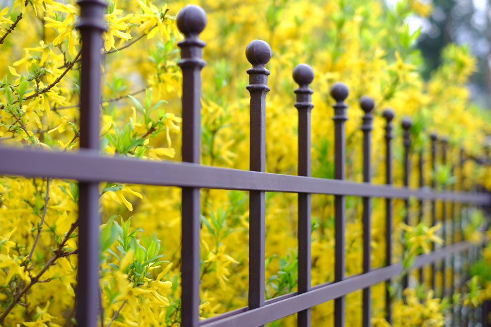 Wrought iron fence around a La Grange home