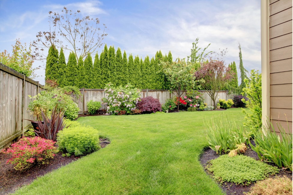 Backyard wood fence at a house in Northbrook, Illinois