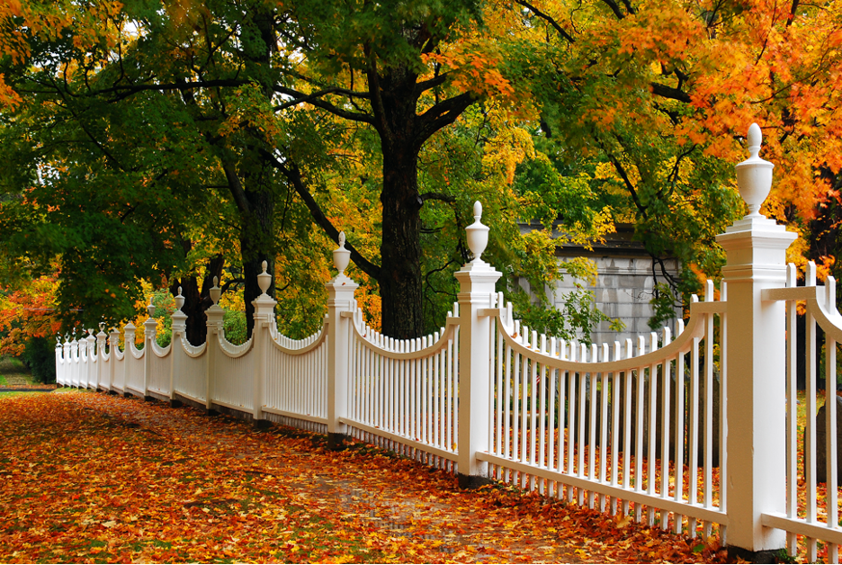 Residential fence company in Vernon Hills, Illinois
